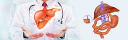 Liver Transplant in Thailand