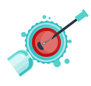 Intra Cytoplasmic Sperm Injection (ICSI)